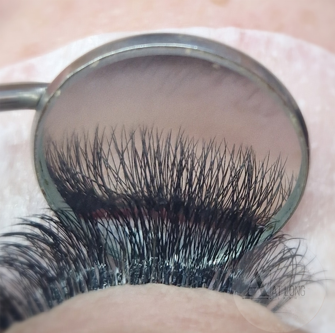 Eyelashes